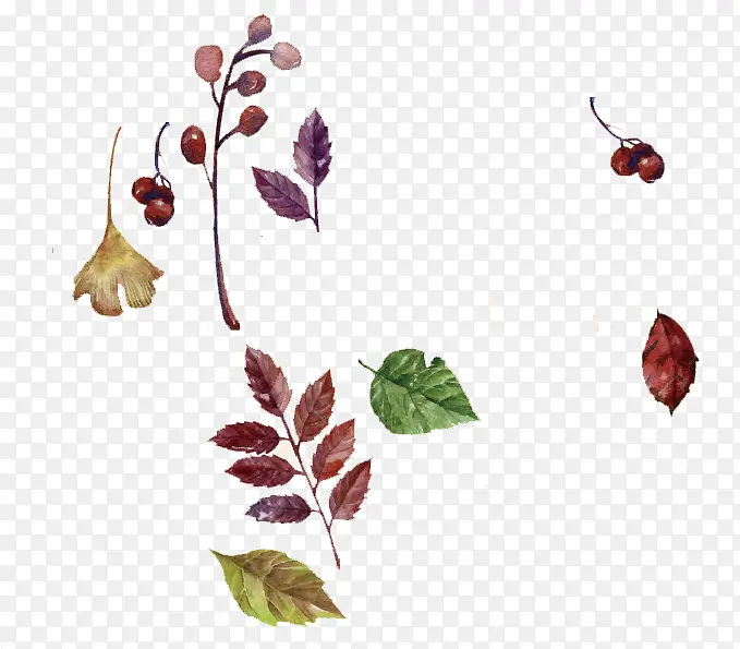 ���� ��ͨ ˮ�ʻ�-������