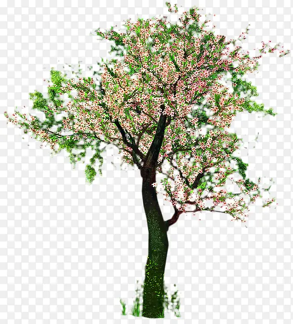 ӣ�� ����ֲ�� ����-������