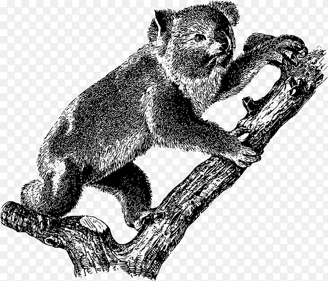 ���� �� ����-������