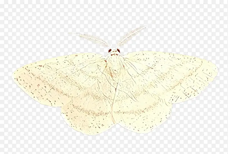 �� �� ����-������