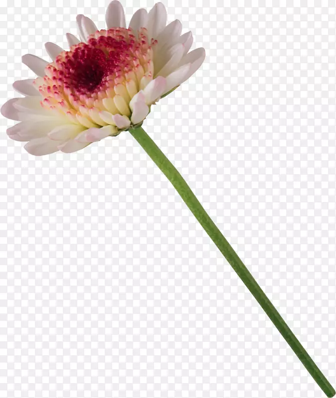 ����-�ջ�-������