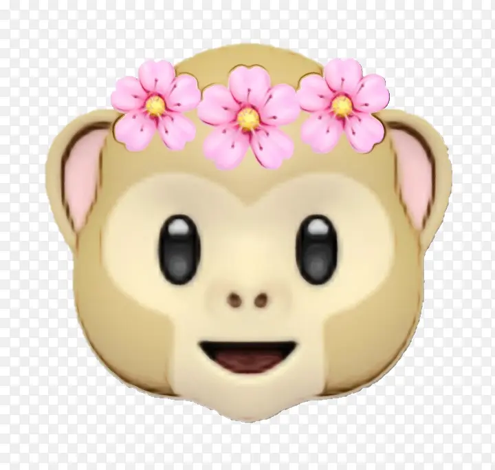 ���� ��ͨ ��-������