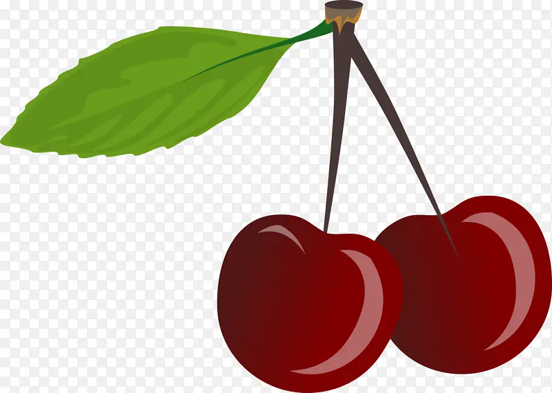 ���ҵ����� Ҷ ��-������