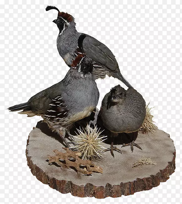 ����iphone azҰ�����ﴴ��-����-������