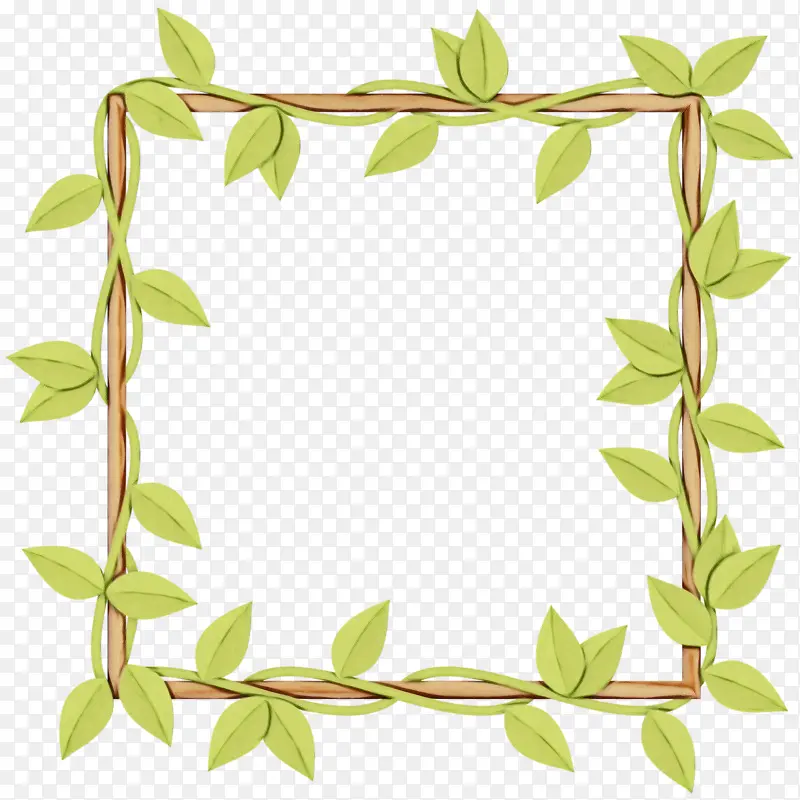 �ɹ���Ʒ��֦ ���� ֲ�ﾥ-������