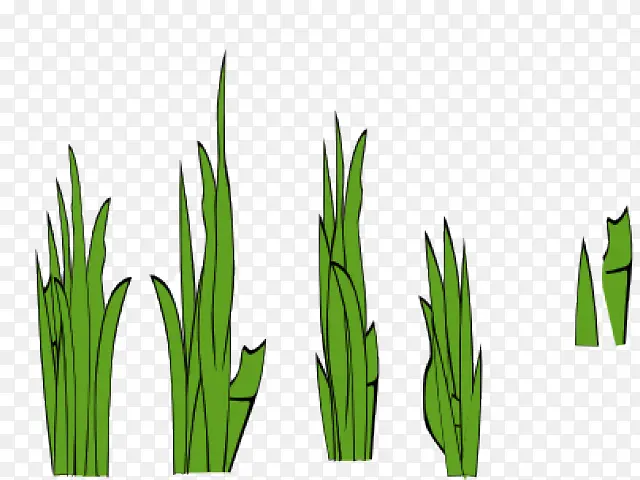 ��ƺ �滭 ��-������