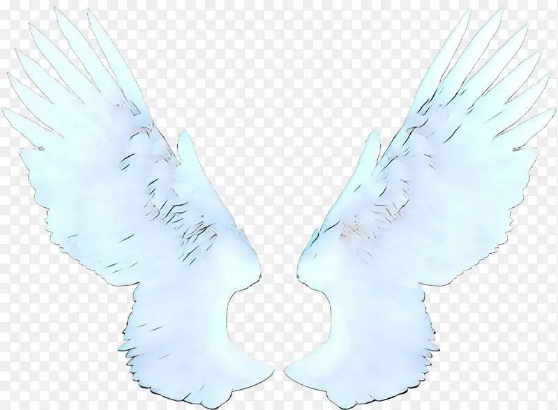 ��ɫ ��� ��ë-������