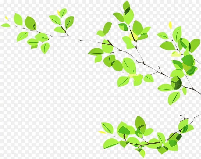 ��֦ �� Ҷ-������