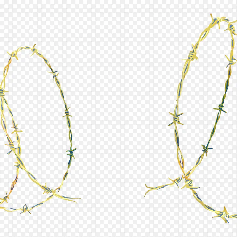 ��֦ ֲ�ﾥ Ҷ-������