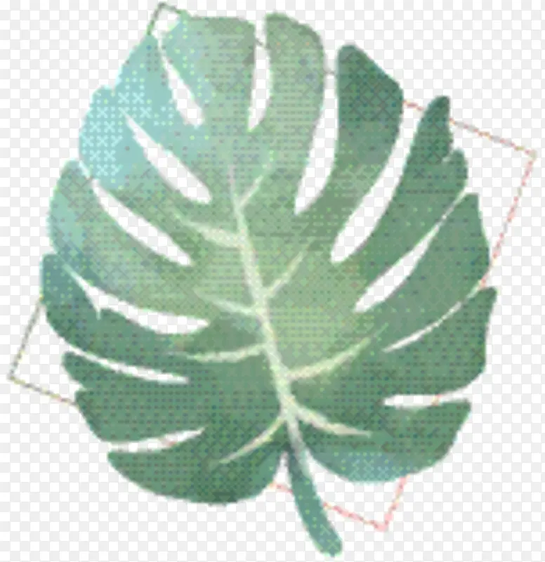 Ҷ�� �� ֲ��-������