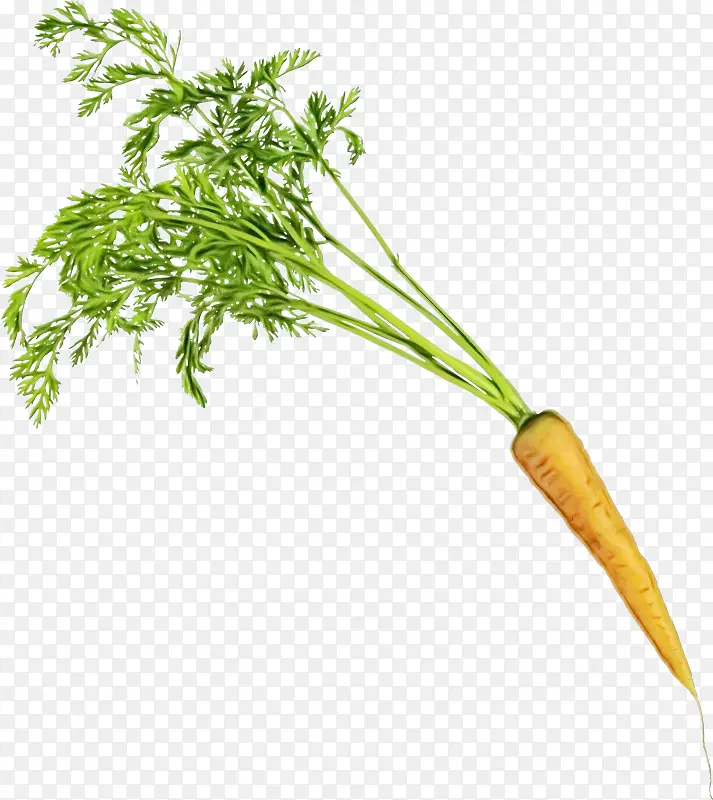 ���ܲ� �߲� ŷ��-������