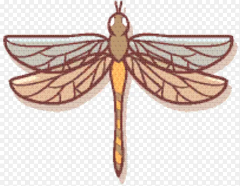 ���� ���� ������-������