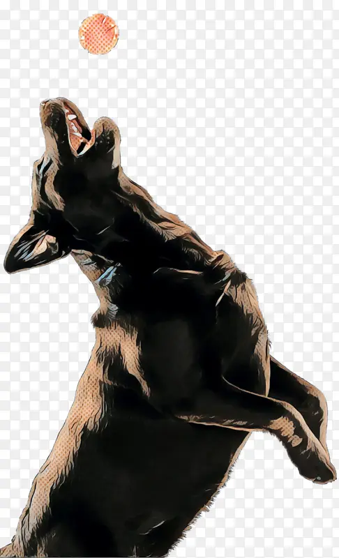 �� Ʒ�� �Ĵ����ǿ�����Ȯ-������