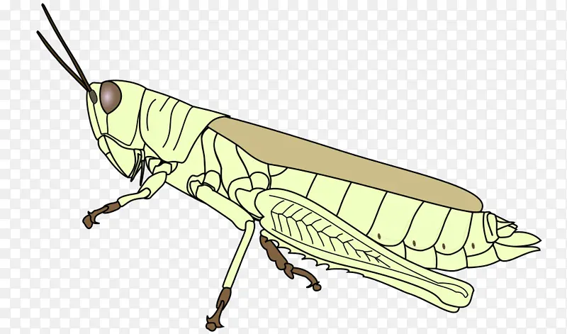 ���� ���� ����-������