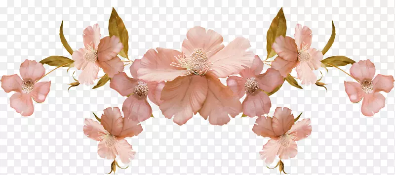 �л�����ֲ�ﾥ������-50-������