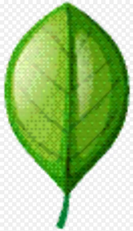 Ҷ�� ��ɫ ��-������