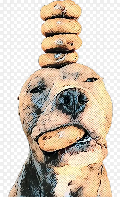 �������� ���� ����-������