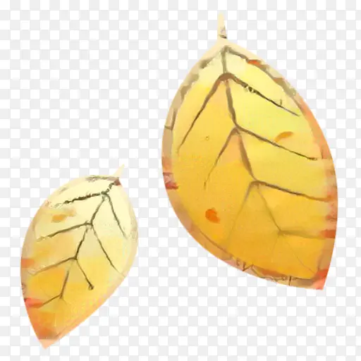 ��ɫ ���� ��ɫ-������