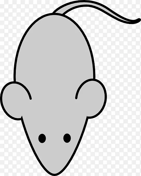 ���� �������� ��ͨ-������