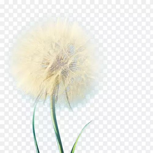 �ѹ�Ӣ����ֲ������ѹ�Ӣ-������