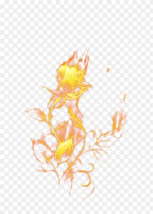 ���� ��ɫ-������