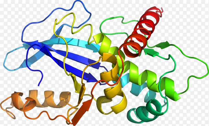 ���� �� ������-������