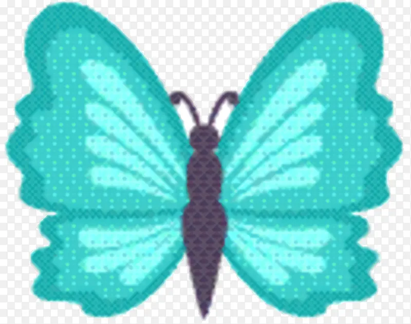 ��ɴ���� �Գ� ����-������