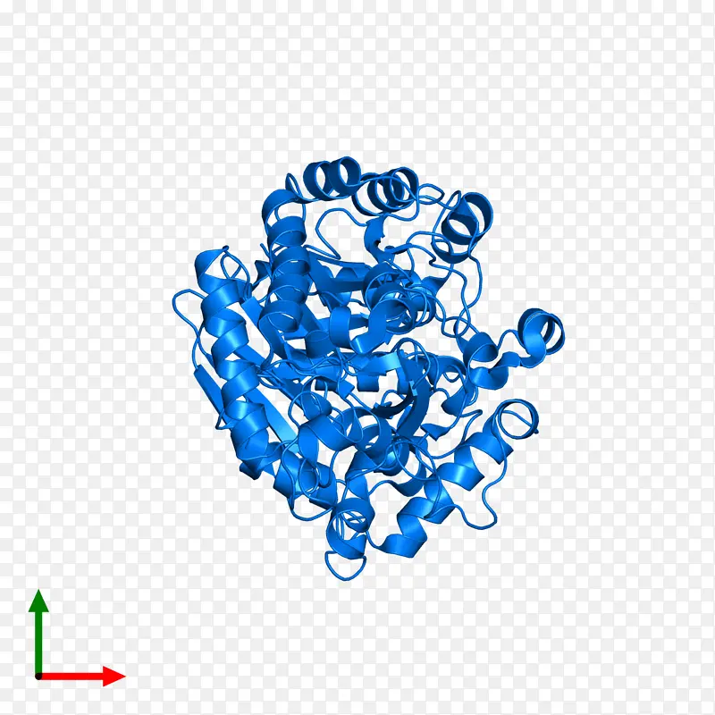 �� �� ��ɫ-������