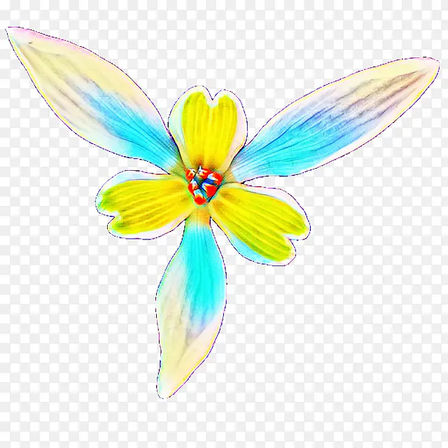 ���� �� ����-������