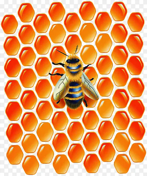 �۷� �䳲 ������-������