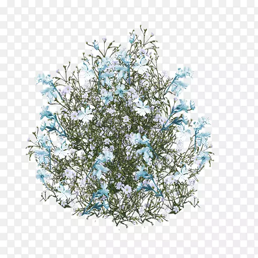 õ����������-��ɫ��-������