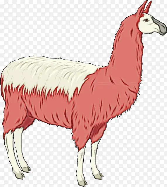 ˮ�ʻ� ���� ʪīˮ-������