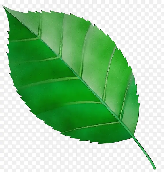 ˮ�ʻ� ���� ʪīˮ-������