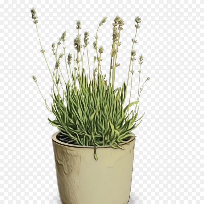 ˮ�ʻ� ���� ʪīˮ-������