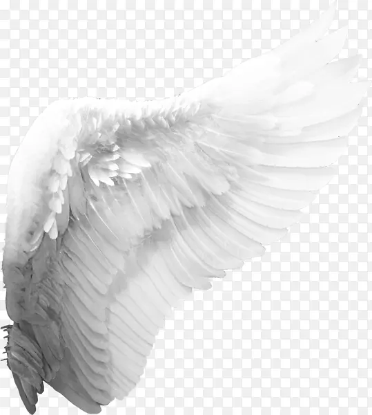 ��ʹ��������-��ʹ���-������