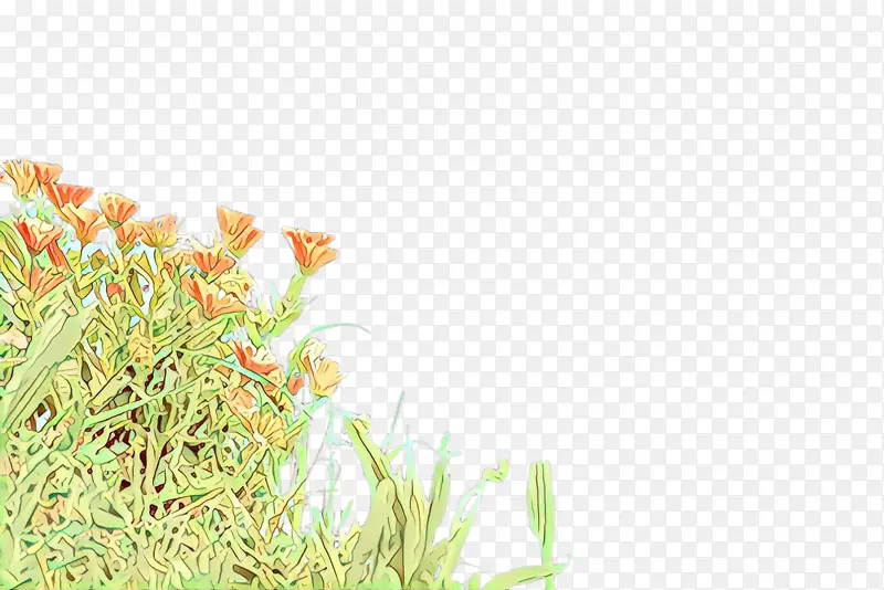 ��ͨ �� ��Ʒ-������