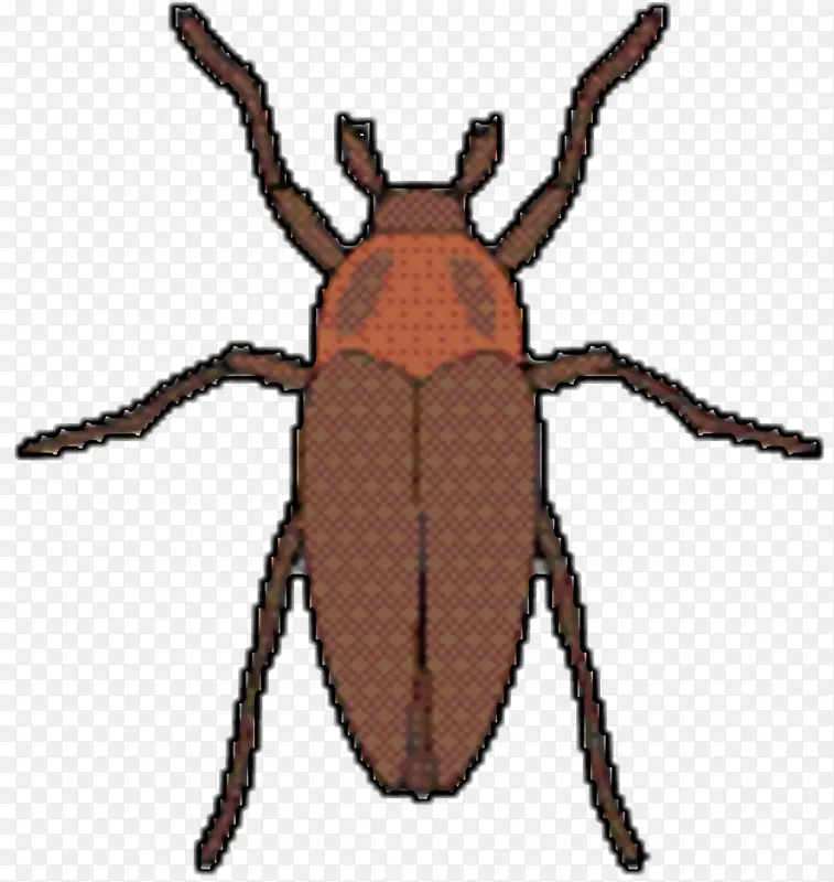 ��� ���� ����-������