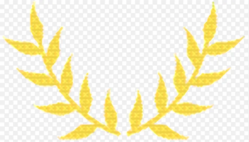 Ҷ�� �� ֲ��-������