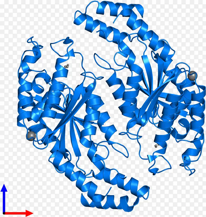 ���� �����鱦 ��-������