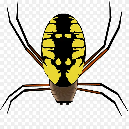 ��ҳ��� ���� ��ɫ-������