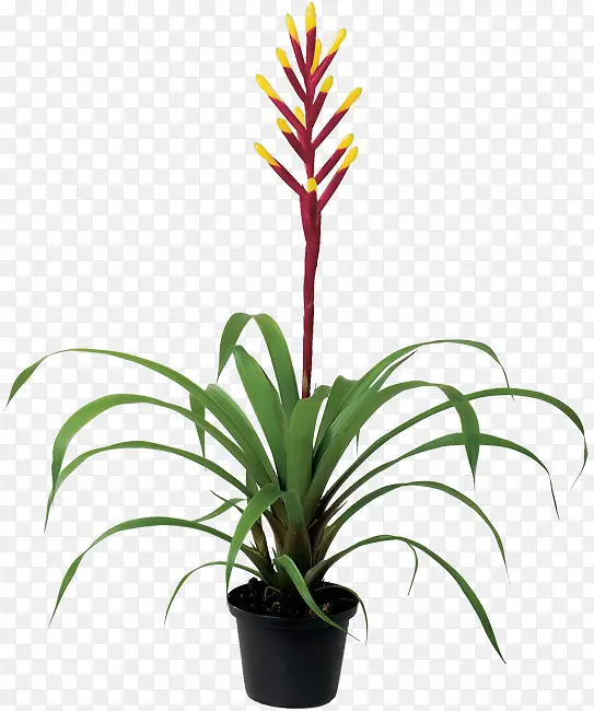 �ɹ���Ʒ�л� ���� ����-������