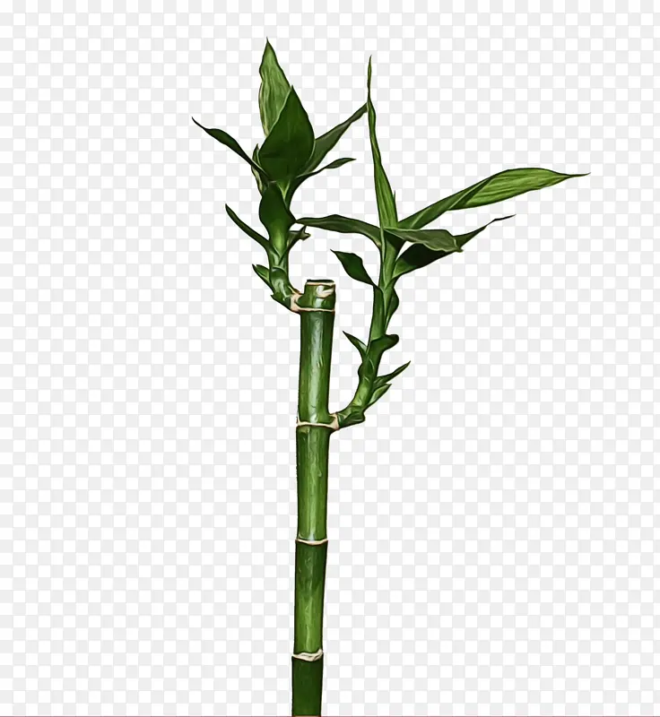 ˮ�� ���� ʪī-������