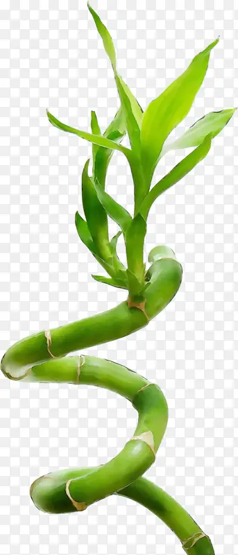 ˮ�� ���� ʪī-������