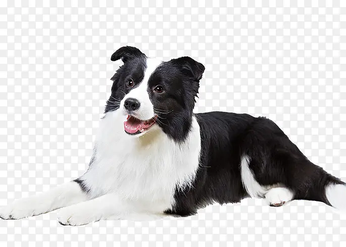 �߾�����Ȯ ������Ȯ С��-������