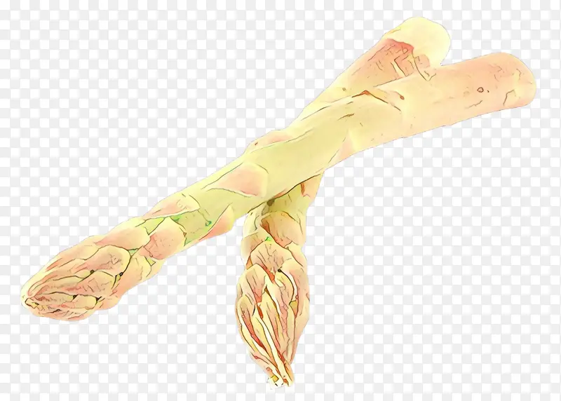 ��ͨ ��ָ �ֱ�-������