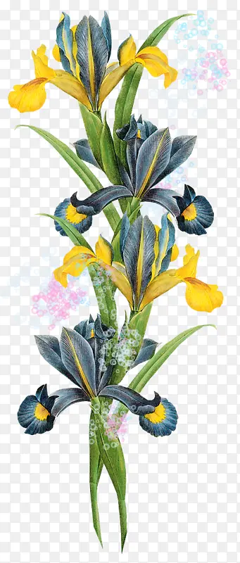 �滭 ˮ�ʻ� �β-������