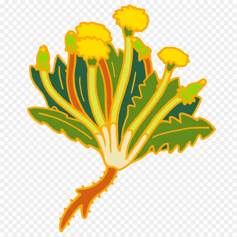 �滭 �ѹ�Ӣ ��ͨ�ѹ�Ӣ-������