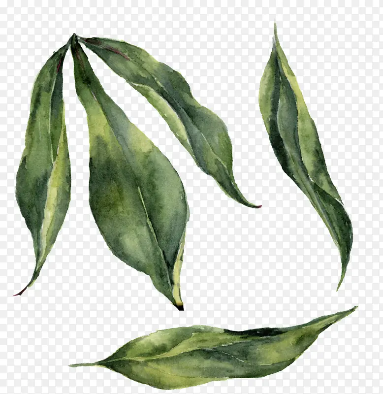 ˮ�ʻ� ĵ�� ��-������