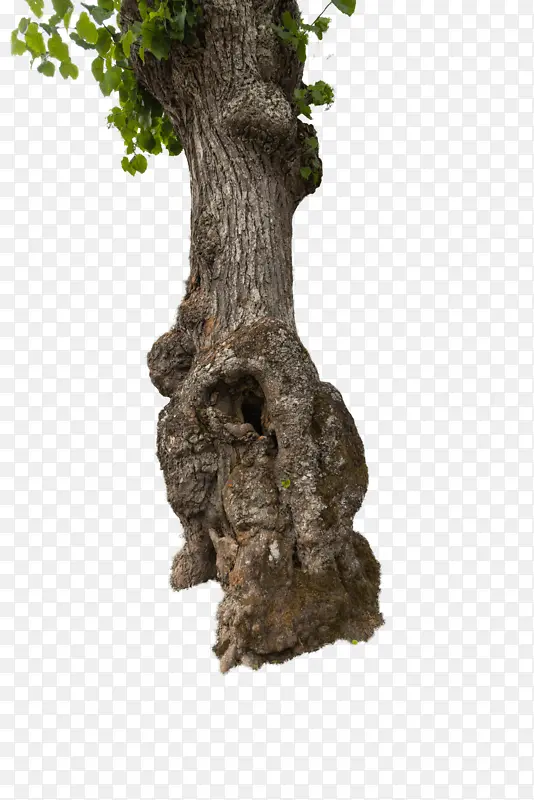 �����Ӱ ��Ӱ ����-������