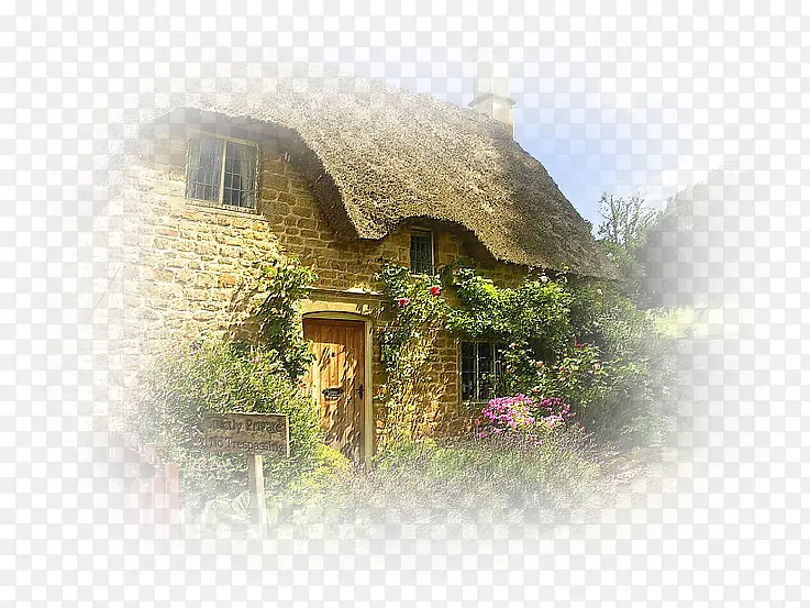 ���� ���� ����-������